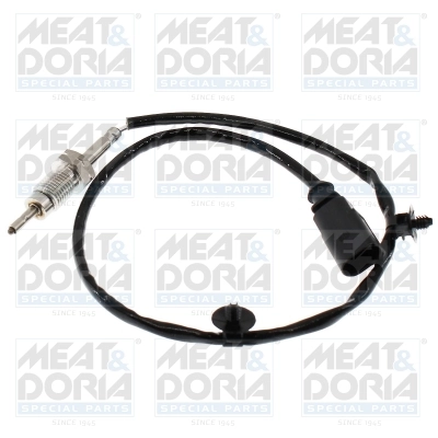 Sensor, exhaust gas temperature